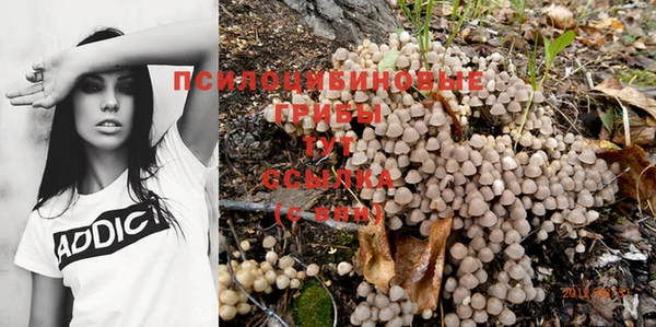 jwh Алексин